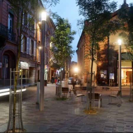 L'ecrin - Place Du Capitole Toulouse-parking Et Petit Dejeuner Inclus * Τουλούζη
